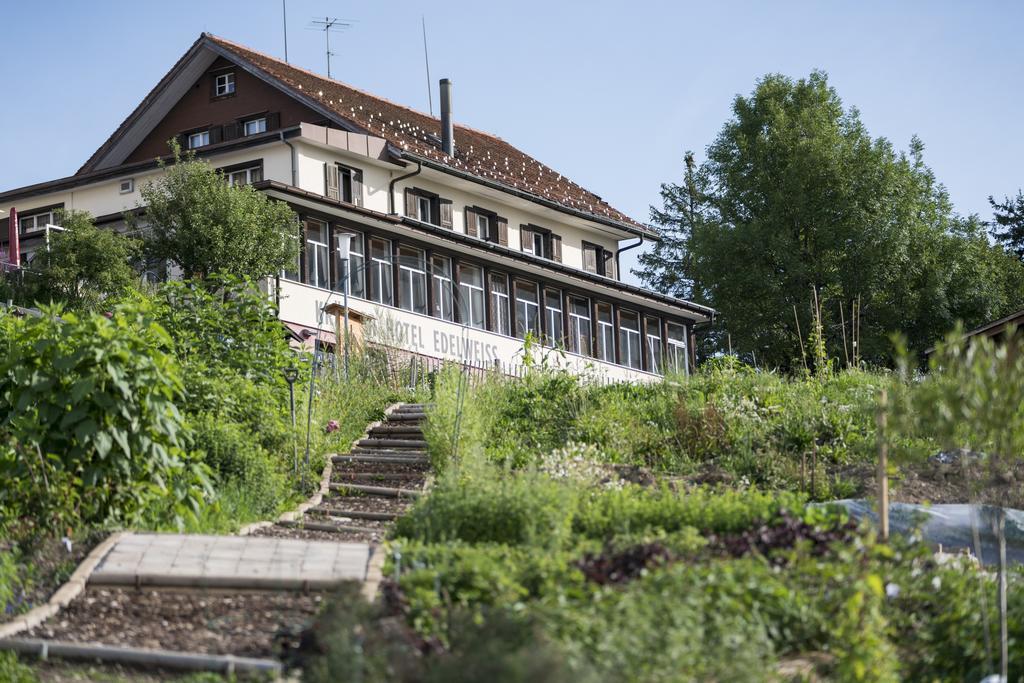 Kraeuterhotel Edelweiss ริกิคาลต์บัด ภายนอก รูปภาพ
